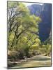 Bridge across River with Mountains in Background, Virgin River, Zion National Park, Utah, USA-Scott T. Smith-Mounted Photographic Print