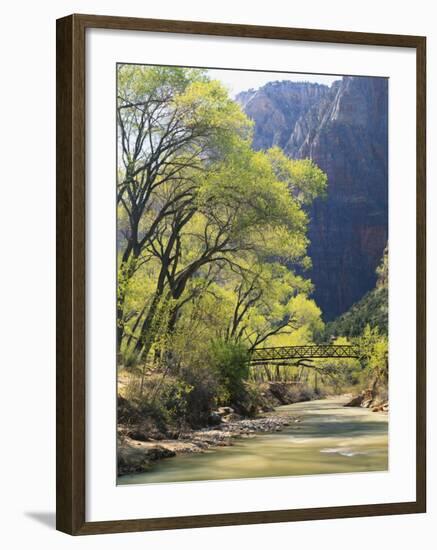 Bridge across River with Mountains in Background, Virgin River, Zion National Park, Utah, USA-Scott T. Smith-Framed Photographic Print