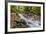 Bridge across the Zadlascica River Canyon, Tolman Gorges, Triglav National Park, Slovenia, Europe-Matthew Williams-Ellis-Framed Photographic Print