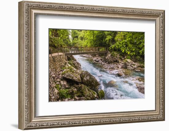 Bridge across the Zadlascica River Canyon, Tolman Gorges, Triglav National Park, Slovenia, Europe-Matthew Williams-Ellis-Framed Photographic Print