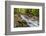 Bridge across the Zadlascica River Canyon, Tolman Gorges, Triglav National Park, Slovenia, Europe-Matthew Williams-Ellis-Framed Photographic Print