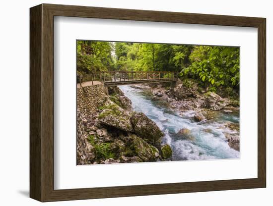 Bridge across the Zadlascica River Canyon, Tolman Gorges, Triglav National Park, Slovenia, Europe-Matthew Williams-Ellis-Framed Photographic Print