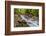 Bridge across the Zadlascica River Canyon, Tolman Gorges, Triglav National Park, Slovenia, Europe-Matthew Williams-Ellis-Framed Photographic Print