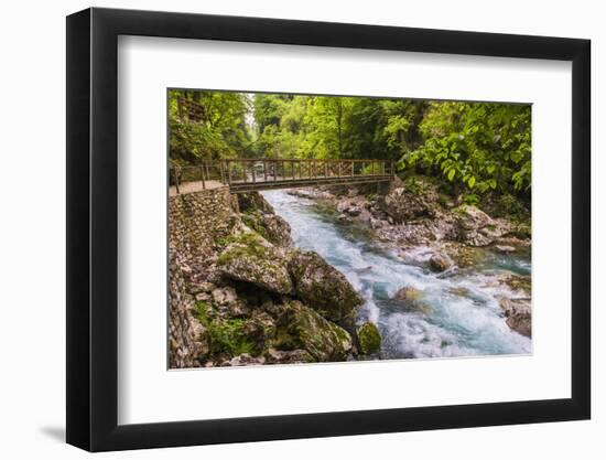 Bridge across the Zadlascica River Canyon, Tolman Gorges, Triglav National Park, Slovenia, Europe-Matthew Williams-Ellis-Framed Photographic Print