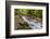 Bridge across the Zadlascica River Canyon, Tolman Gorges, Triglav National Park, Slovenia, Europe-Matthew Williams-Ellis-Framed Photographic Print