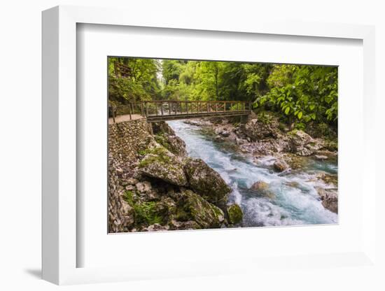 Bridge across the Zadlascica River Canyon, Tolman Gorges, Triglav National Park, Slovenia, Europe-Matthew Williams-Ellis-Framed Photographic Print