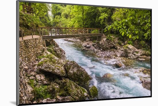 Bridge across the Zadlascica River Canyon, Tolman Gorges, Triglav National Park, Slovenia, Europe-Matthew Williams-Ellis-Mounted Photographic Print