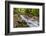 Bridge across the Zadlascica River Canyon, Tolman Gorges, Triglav National Park, Slovenia, Europe-Matthew Williams-Ellis-Framed Photographic Print