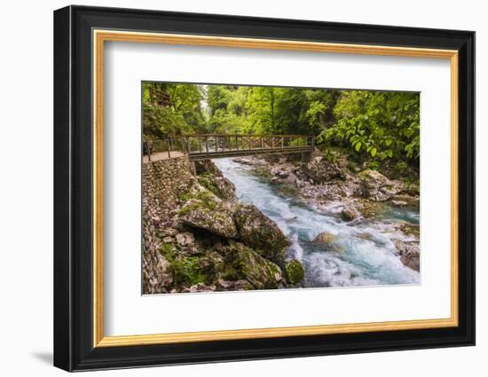 Bridge across the Zadlascica River Canyon, Tolman Gorges, Triglav National Park, Slovenia, Europe-Matthew Williams-Ellis-Framed Photographic Print