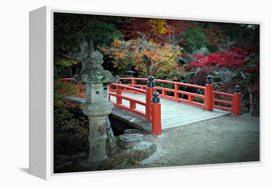 Bridge and Autumn Colours in Miyajima Japan-Neale Cousland-Framed Premier Image Canvas