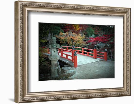 Bridge and Autumn Colours in Miyajima Japan-Neale Cousland-Framed Photographic Print