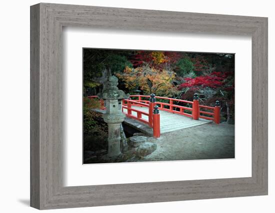 Bridge and Autumn Colours in Miyajima Japan-Neale Cousland-Framed Photographic Print