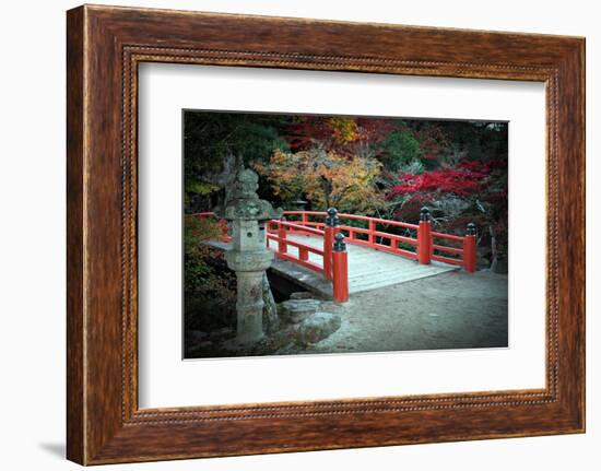 Bridge and Autumn Colours in Miyajima Japan-Neale Cousland-Framed Photographic Print