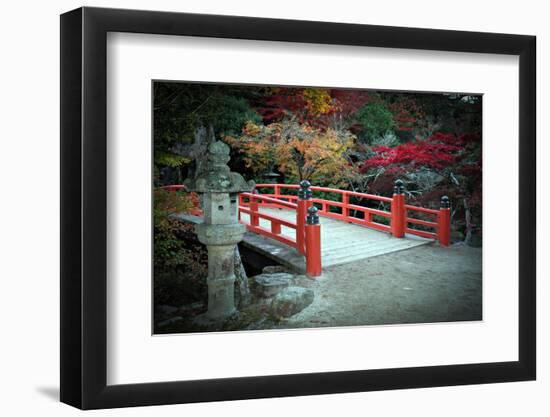 Bridge and Autumn Colours in Miyajima Japan-Neale Cousland-Framed Photographic Print