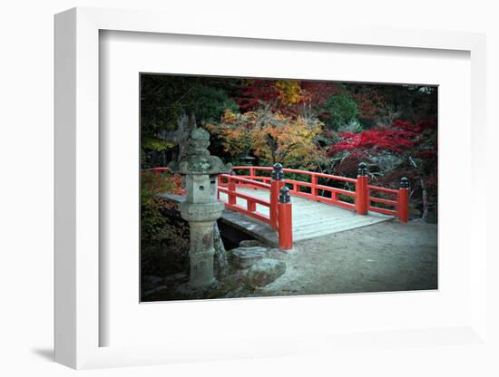 Bridge and Autumn Colours in Miyajima Japan-Neale Cousland-Framed Photographic Print