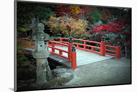 Bridge and Autumn Colours in Miyajima Japan-Neale Cousland-Mounted Photographic Print