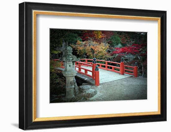 Bridge and Autumn Colours in Miyajima Japan-Neale Cousland-Framed Photographic Print