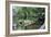 Bridge and Garden, Bakewell, Derbyshire, 2009-Trevor Neal-Framed Giclee Print