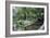 Bridge and Garden, Bakewell, Derbyshire, 2009-Trevor Neal-Framed Giclee Print