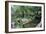 Bridge and Garden, Bakewell, Derbyshire, 2009-Trevor Neal-Framed Giclee Print