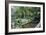 Bridge and Garden, Bakewell, Derbyshire, 2009-Trevor Neal-Framed Giclee Print