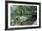 Bridge and Garden, Bakewell, Derbyshire, 2009-Trevor Neal-Framed Giclee Print