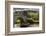 Bridge and ivy covered cottage, Conwy Valley, North Wales, UK-Ross Hoddinott-Framed Photographic Print