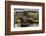 Bridge and ivy covered cottage, Conwy Valley, North Wales, UK-Ross Hoddinott-Framed Photographic Print