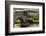 Bridge and ivy covered cottage, Conwy Valley, North Wales, UK-Ross Hoddinott-Framed Photographic Print