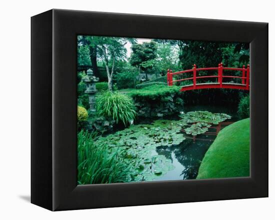Bridge and Pond of Japanese Style Garden, Kildare, Ireland-Tony Wheeler-Framed Premier Image Canvas