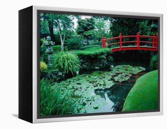 Bridge and Pond of Japanese Style Garden, Kildare, Ireland-Tony Wheeler-Framed Premier Image Canvas