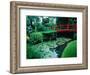 Bridge and Pond of Japanese Style Garden, Kildare, Ireland-Tony Wheeler-Framed Photographic Print
