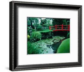 Bridge and Pond of Japanese Style Garden, Kildare, Ireland-Tony Wheeler-Framed Photographic Print