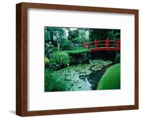 Bridge and Pond of Japanese Style Garden, Kildare, Ireland-Tony Wheeler-Framed Photographic Print
