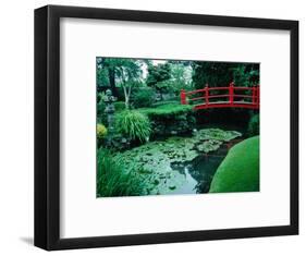 Bridge and Pond of Japanese Style Garden, Kildare, Ireland-Tony Wheeler-Framed Photographic Print