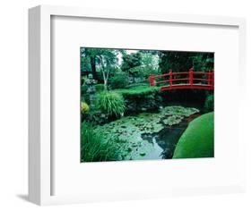 Bridge and Pond of Japanese Style Garden, Kildare, Ireland-Tony Wheeler-Framed Photographic Print