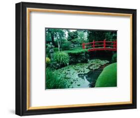 Bridge and Pond of Japanese Style Garden, Kildare, Ireland-Tony Wheeler-Framed Photographic Print