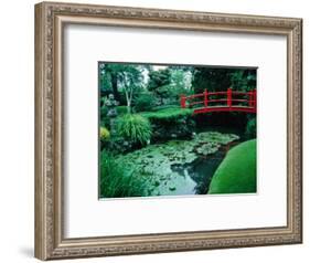 Bridge and Pond of Japanese Style Garden, Kildare, Ireland-Tony Wheeler-Framed Photographic Print