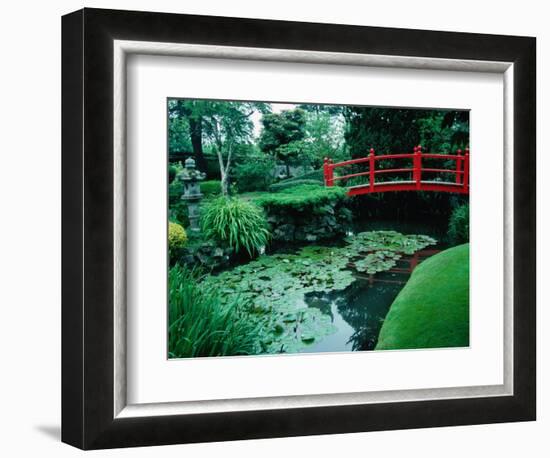 Bridge and Pond of Japanese Style Garden, Kildare, Ireland-Tony Wheeler-Framed Photographic Print