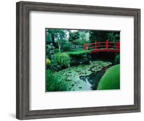 Bridge and Pond of Japanese Style Garden, Kildare, Ireland-Tony Wheeler-Framed Photographic Print