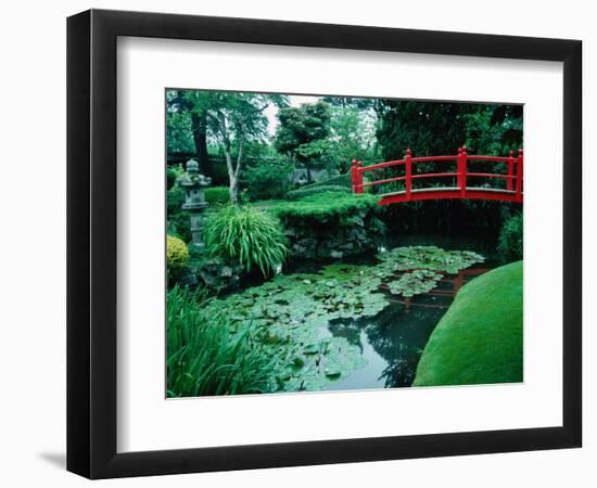 Bridge and Pond of Japanese Style Garden, Kildare, Ireland-Tony Wheeler-Framed Photographic Print