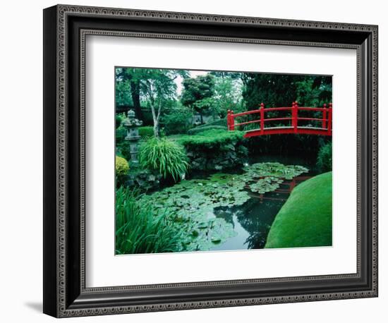 Bridge and Pond of Japanese Style Garden, Kildare, Ireland-Tony Wheeler-Framed Photographic Print