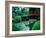 Bridge and Pond of Japanese Style Garden, Kildare, Ireland-Tony Wheeler-Framed Photographic Print