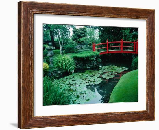 Bridge and Pond of Japanese Style Garden, Kildare, Ireland-Tony Wheeler-Framed Photographic Print