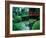 Bridge and Pond of Japanese Style Garden, Kildare, Ireland-Tony Wheeler-Framed Photographic Print