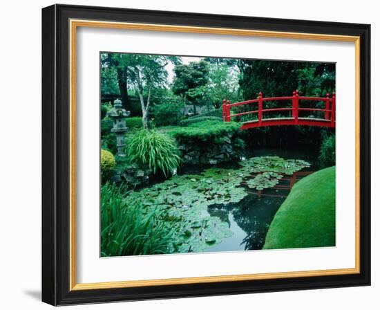 Bridge and Pond of Japanese Style Garden, Kildare, Ireland-Tony Wheeler-Framed Photographic Print