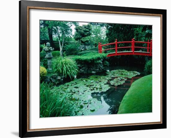 Bridge and Pond of Japanese Style Garden, Kildare, Ireland-Tony Wheeler-Framed Photographic Print