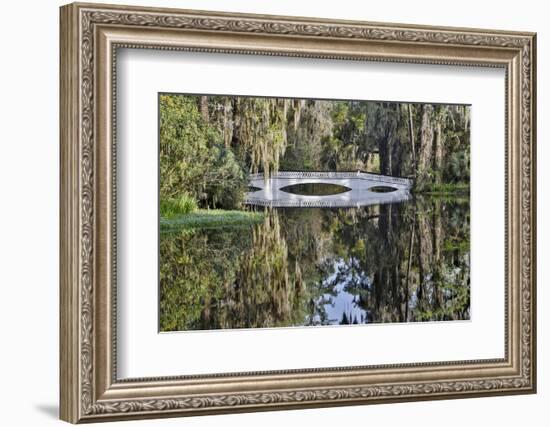 Bridge crossing pond Springtime azalea blooming, Charleston, South Carolina.-Darrell Gulin-Framed Photographic Print