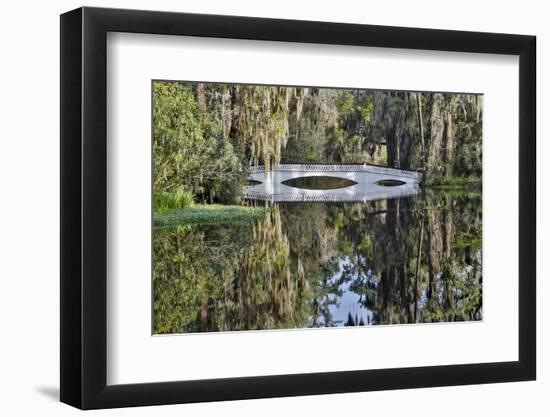 Bridge crossing pond Springtime azalea blooming, Charleston, South Carolina.-Darrell Gulin-Framed Photographic Print