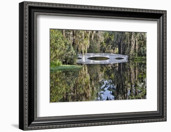 Bridge crossing pond Springtime azalea blooming, Charleston, South Carolina.-Darrell Gulin-Framed Photographic Print